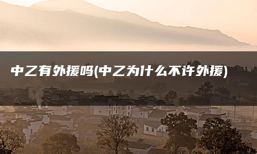 中乙有外援吗(中乙为什么不许外援)