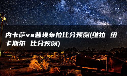 内卡萨vs普埃布拉比分预测(维拉 纽卡斯尔 比分预测)