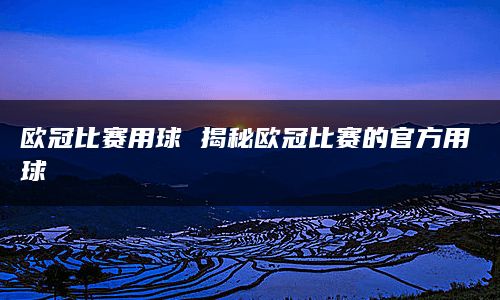 欧冠比赛用球 揭秘欧冠比赛的官方用球