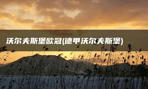 沃尔夫斯堡欧冠(德甲沃尔夫斯堡)