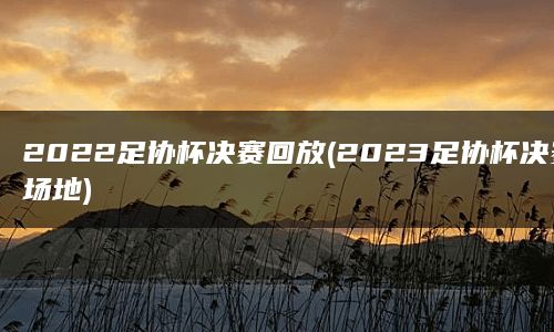 2022足协杯决赛回放(2023足协杯决赛场地)