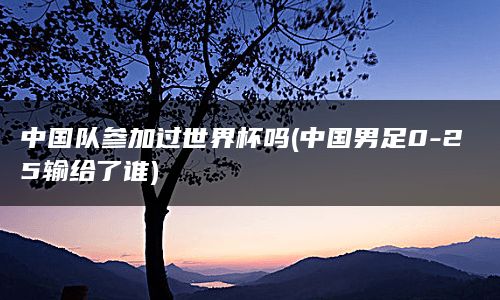 中国队参加过世界杯吗(中国男足0-25输给了谁)