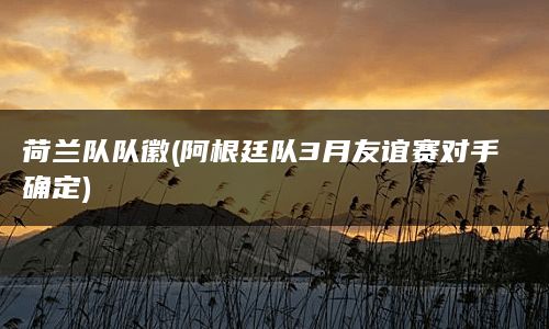 荷兰队队徽(阿根廷队3月友谊赛对手确定)