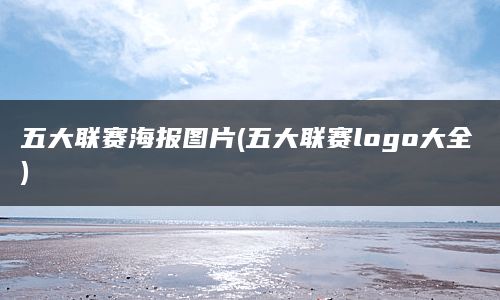 五大联赛海报图片(五大联赛logo大全)