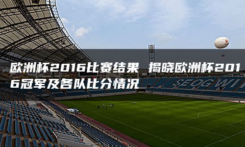 欧洲杯2016比赛结果 揭晓欧洲杯2016冠军及各队比分情况