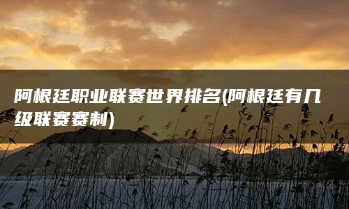 阿根廷职业联赛世界排名(阿根廷有几级联赛赛制)