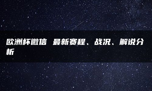 欧洲杯微信 最新赛程、战况、解说分析