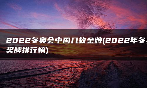 2022冬奥会中国几枚金牌(2022年冬奥奖牌排行榜)