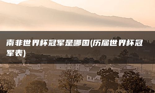 南非世界杯冠军是哪国(历届世界杯冠军表)