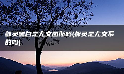 都灵黑白是尤文图斯吗(都灵是尤文系的吗)