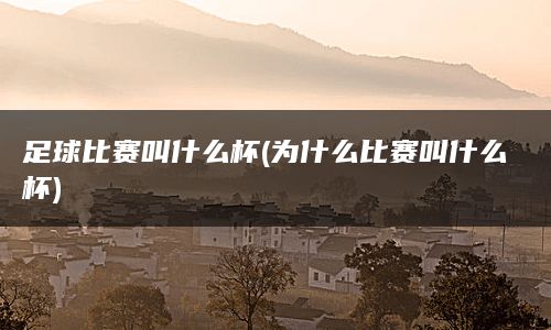 足球比赛叫什么杯(为什么比赛叫什么杯)