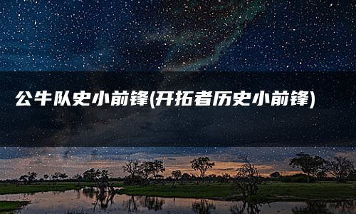 公牛队史小前锋(开拓者历史小前锋)