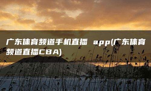 广东体育频道手机直播 app(广东体育频道直播CBA)