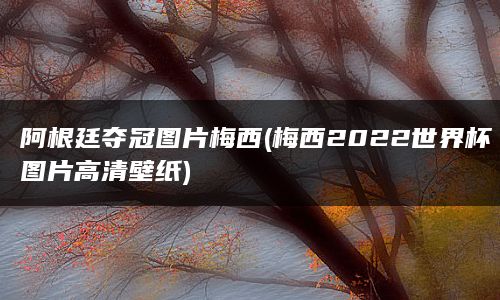 阿根廷夺冠图片梅西(梅西2022世界杯图片高清壁纸)