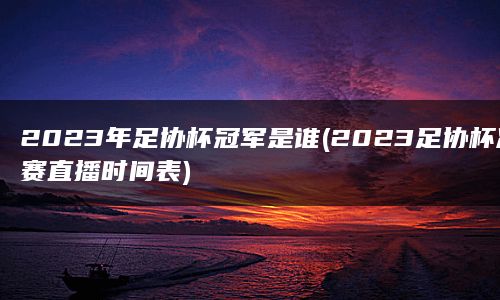 2023年足协杯冠军是谁(2023足协杯决赛直播时间表)