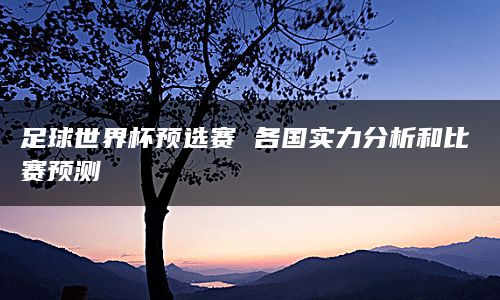 足球世界杯预选赛 各国实力分析和比赛预测