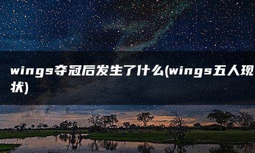 wings夺冠后发生了什么(wings五人现状)