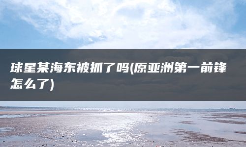 球星某海东被抓了吗(原亚洲第一前锋怎么了)