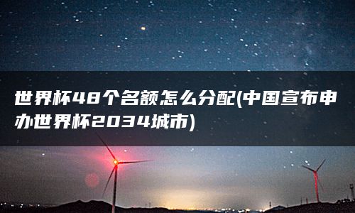 世界杯48个名额怎么分配(中国宣布申办世界杯2034城市)