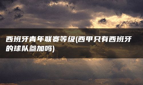 西班牙青年联赛等级(西甲只有西班牙的球队参加吗)