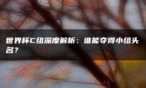 世界杯C组深度解析：谁能夺得小组头名？