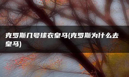 克罗斯几号球衣皇马(克罗斯为什么去皇马)