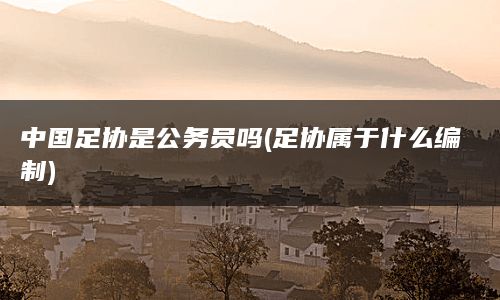 中国足协是公务员吗(足协属于什么编制)