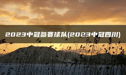 2023中冠参赛球队(2023中冠四川)