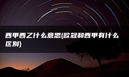 西甲西乙什么意思(欧冠和西甲有什么区别)