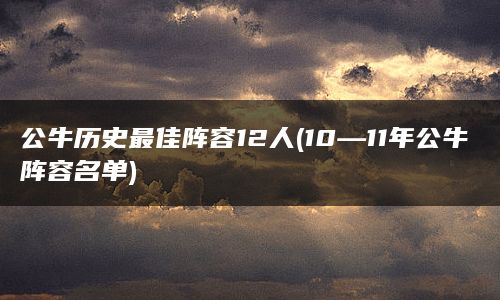 公牛历史最佳阵容12人(10—11年公牛阵容名单)