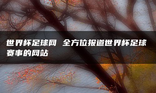 世界杯足球网 全方位报道世界杯足球赛事的网站