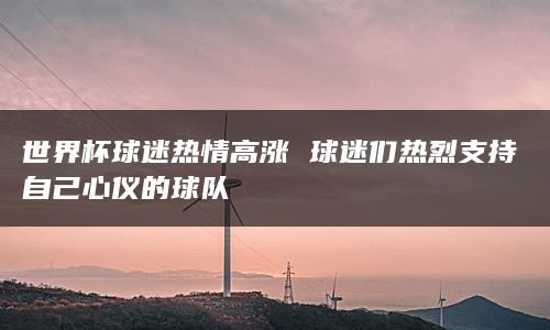 世界杯球迷热情高涨 球迷们热烈支持自己心仪的球队