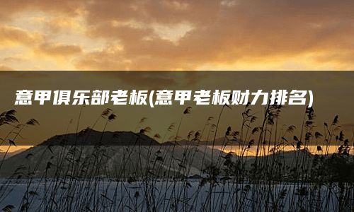 意甲俱乐部老板(意甲老板财力排名)