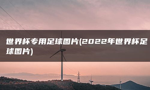 世界杯专用足球图片(2022年世界杯足球图片)