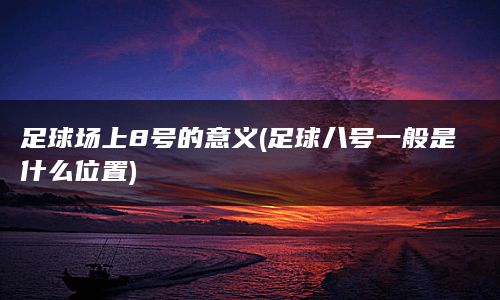 足球场上8号的意义(足球八号一般是什么位置)