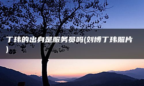 丁玮的出身是服务员吗(刘博丁玮照片)