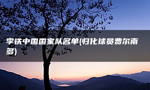 李铁中国国家队名单(归化球员费尔南多)