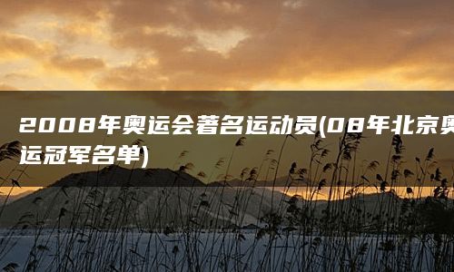 2008年奥运会著名运动员(08年北京奥运冠军名单)