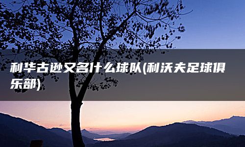 利华古逊又名什么球队(利沃夫足球俱乐部)