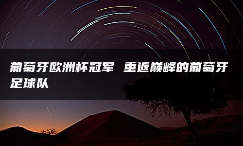 葡萄牙欧洲杯冠军 重返巅峰的葡萄牙足球队