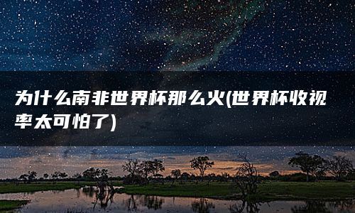 为什么南非世界杯那么火(世界杯收视率太可怕了)