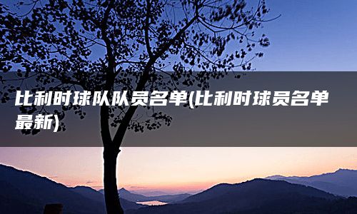 比利时球队队员名单(比利时球员名单最新)