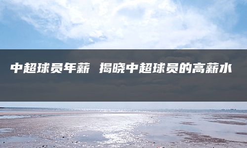 中超球员年薪 揭晓中超球员的高薪水