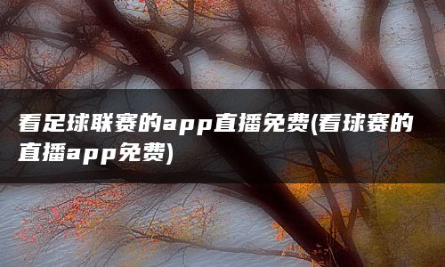 看足球联赛的app直播免费(看球赛的直播app免费)