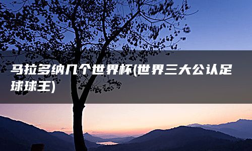 马拉多纳几个世界杯(世界三大公认足球球王)