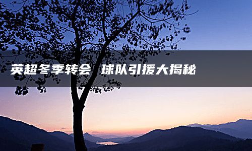 英超冬季转会 球队引援大揭秘