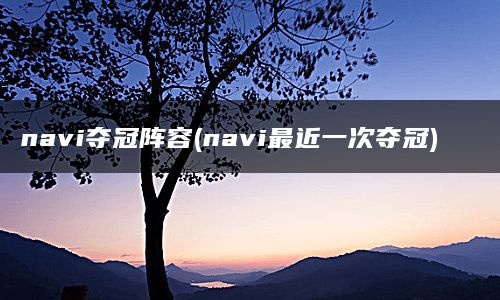 navi夺冠阵容(navi最近一次夺冠)