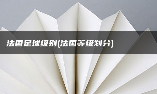 法国足球级别(法国等级划分)