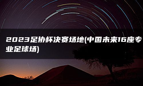 2023足协杯决赛场地(中国未来16座专业足球场)