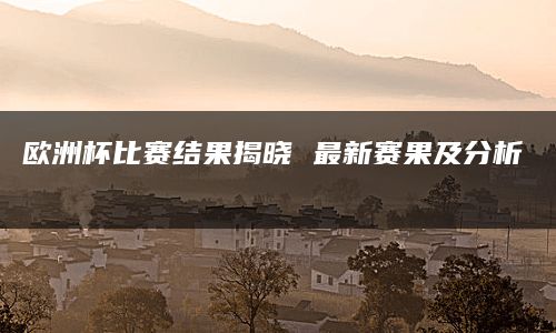 欧洲杯比赛结果揭晓 最新赛果及分析